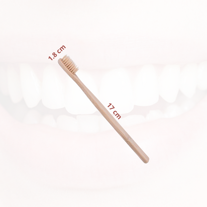 Brosse à dents et Etuis écologique en bambou Poils souples